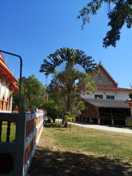 Slow Life Cycling Koh Chang Bicycle Tour-象岛必去景点