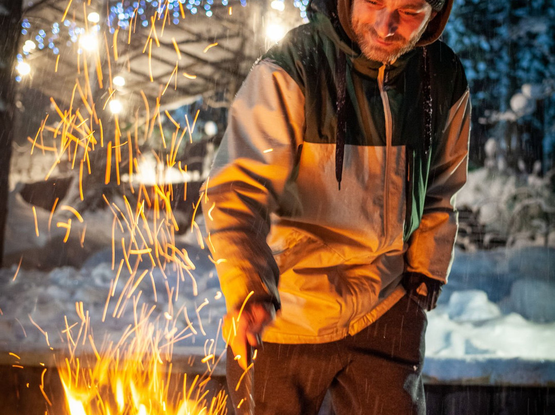 Leontopodium Teletskoye主图