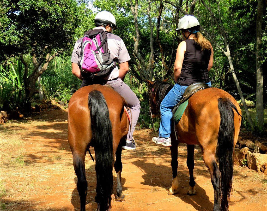 Harties Horse Trail Safaris-哈特比斯普特必去景点