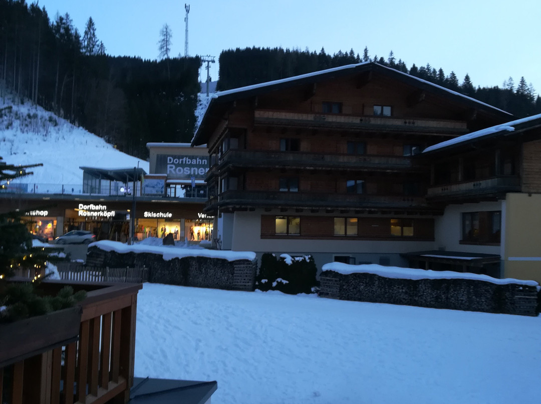 Gut Wenghof - Family Resort Werfenweng主图