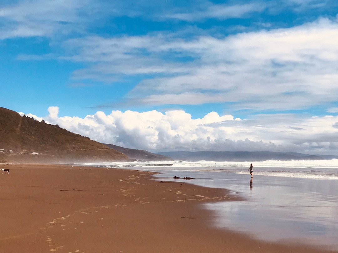 Curinanco旅游攻略图片