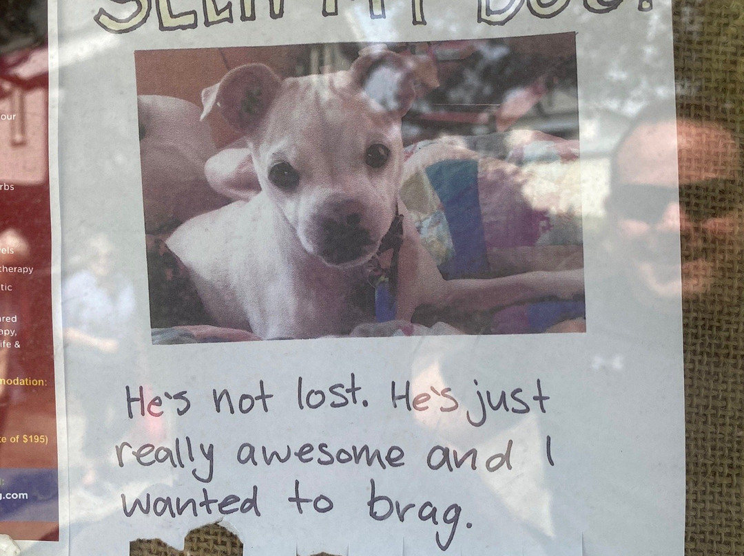 Finn's Paekakariki主图