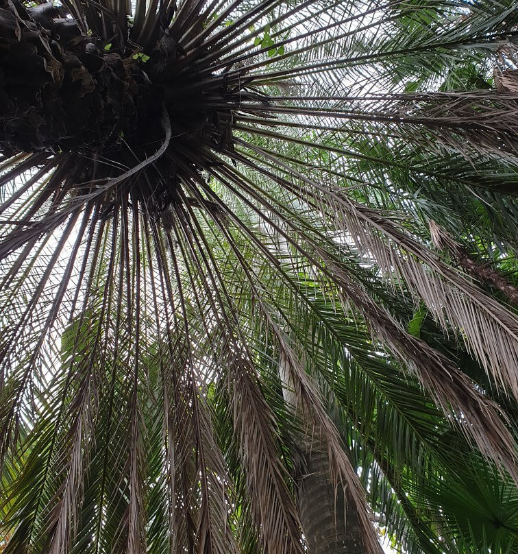 Jardin Botanico X'much Haltun-坎佩切州必去景点