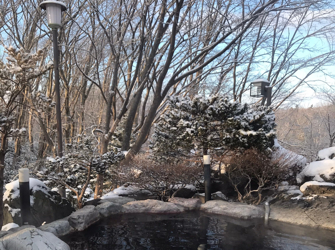 Yumoto Takeyama Kogen Onsen-北广岛市必去景点