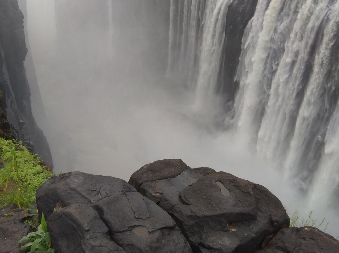 BUSH WILDERNESS SAFARIS-李文斯顿必去景点