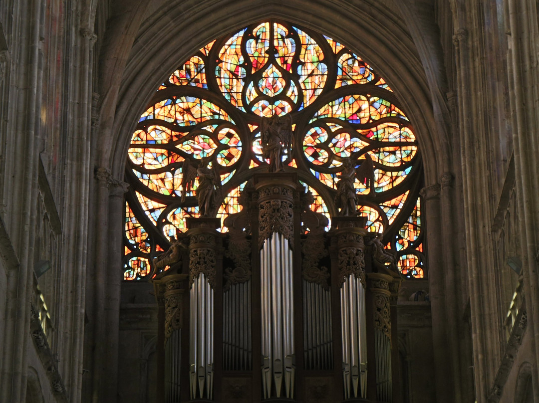 Collegiale Notre Dame-维农必去景点