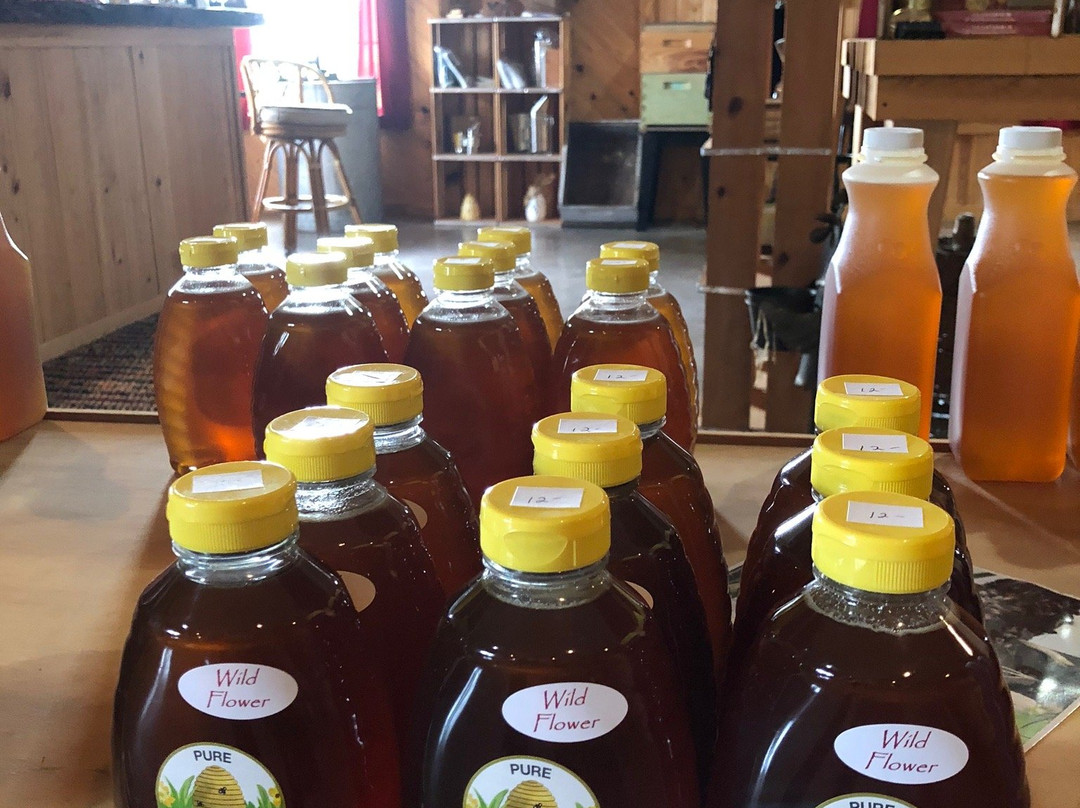 The Bee Barn-Zolfo Springs必去景点