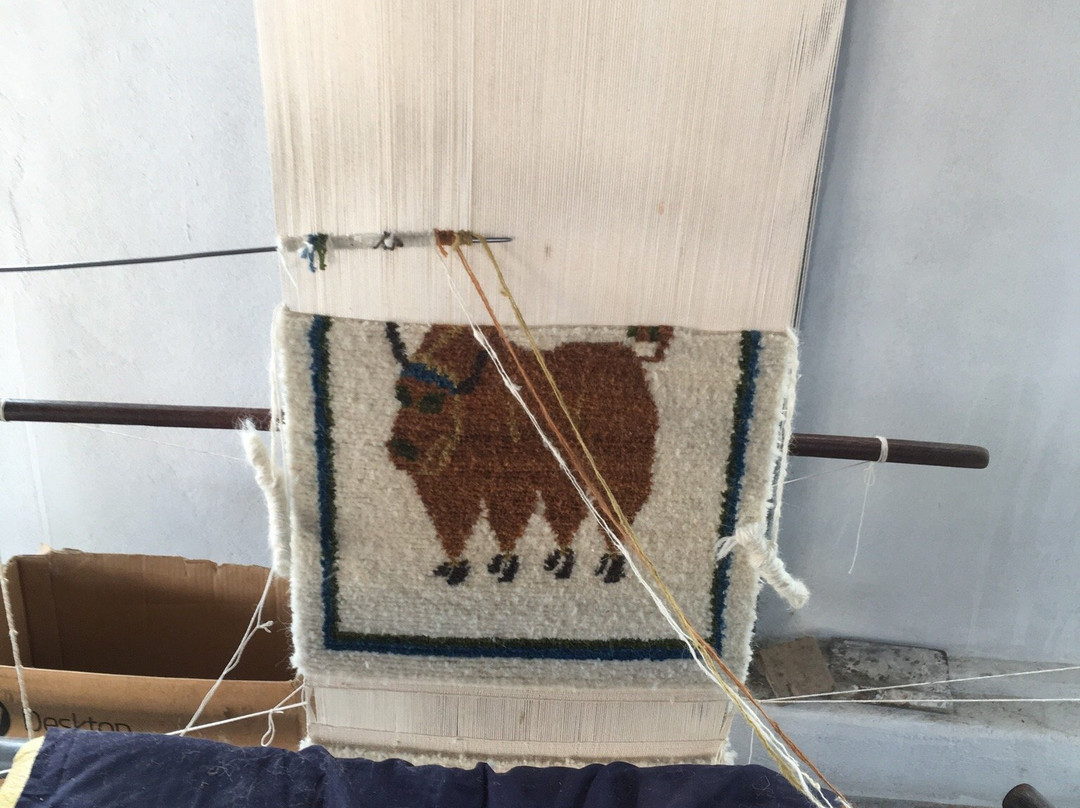 Tashiling Handicraft Centre-博卡拉必去景点