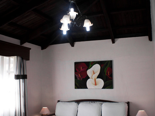 楚奎拉瓜Spa山林小屋主图