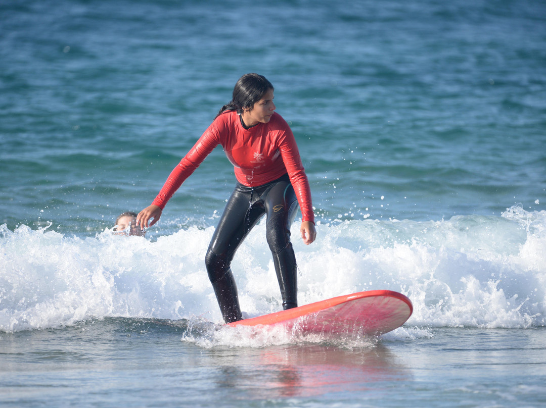 Go Surf TLV-特拉维夫必去景点