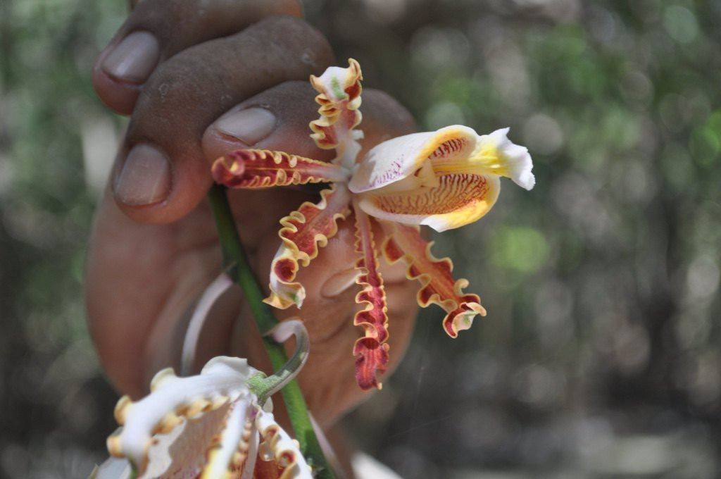 Parque Ecoturistico Jaltun-塞莱斯顿必去景点