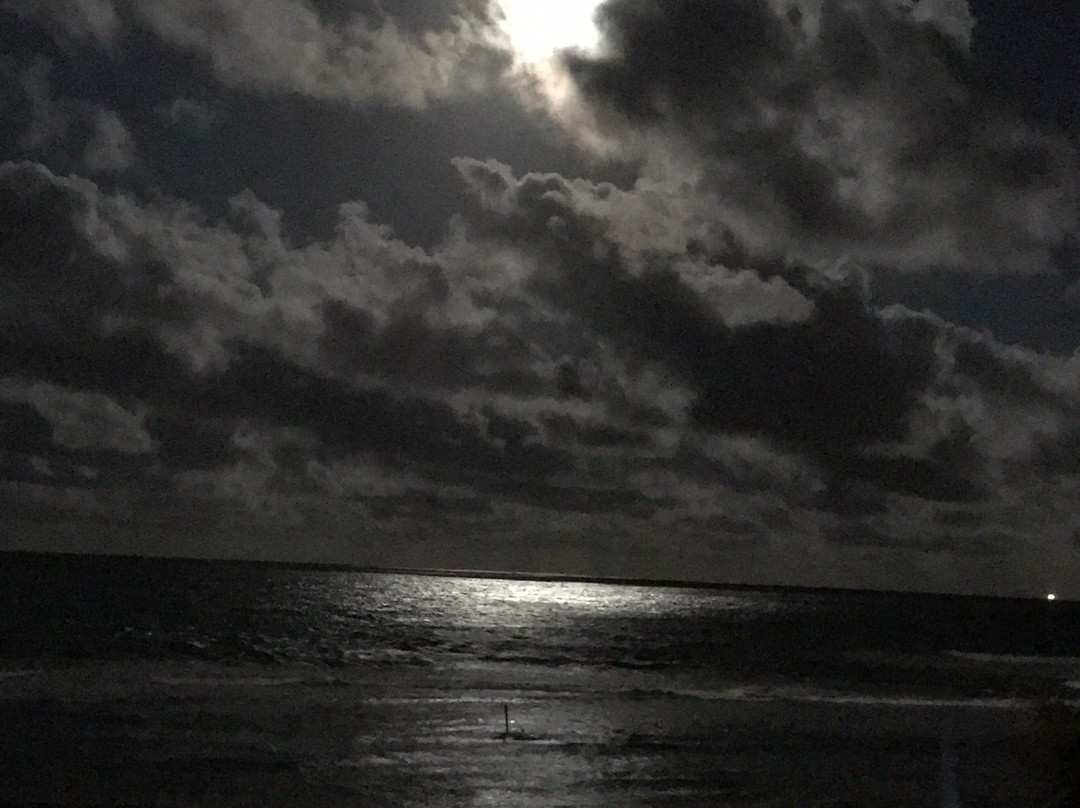 WegoKite Camp Stars主图