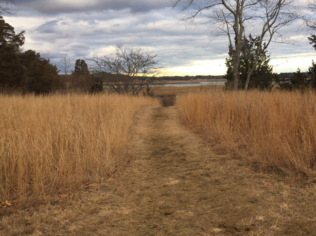Osamequin Nature Trails and Bird Sanctuary-Barrington必去景点