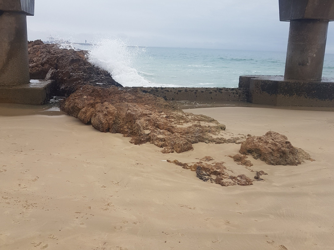 Hobie Beach-伊丽莎白港必去景点