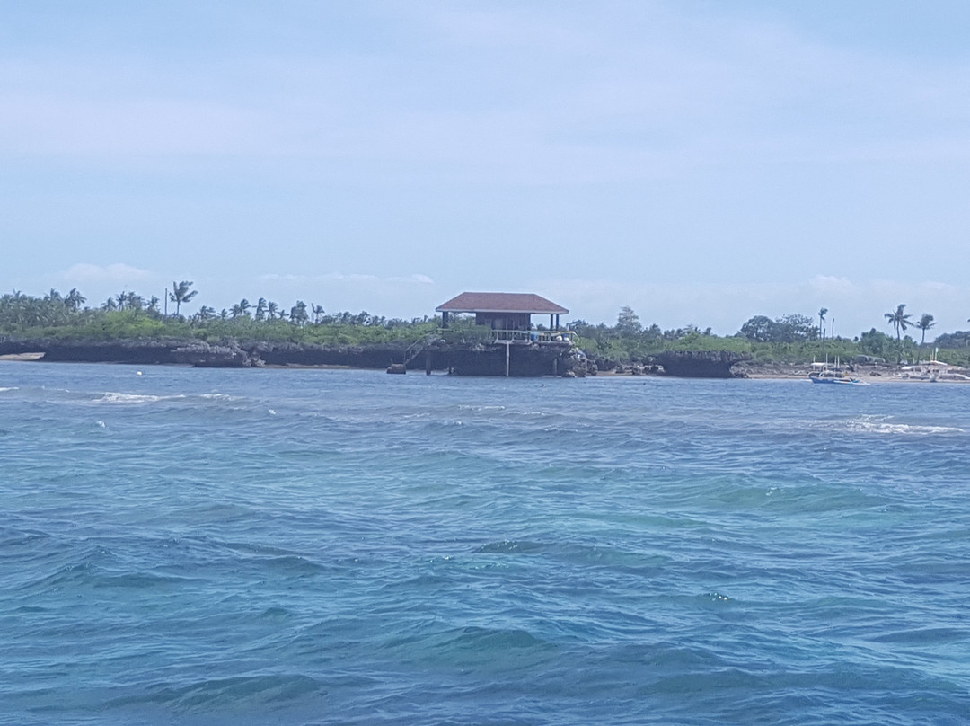 Coral Sea Dive Cebu-拉普拉普必去景点