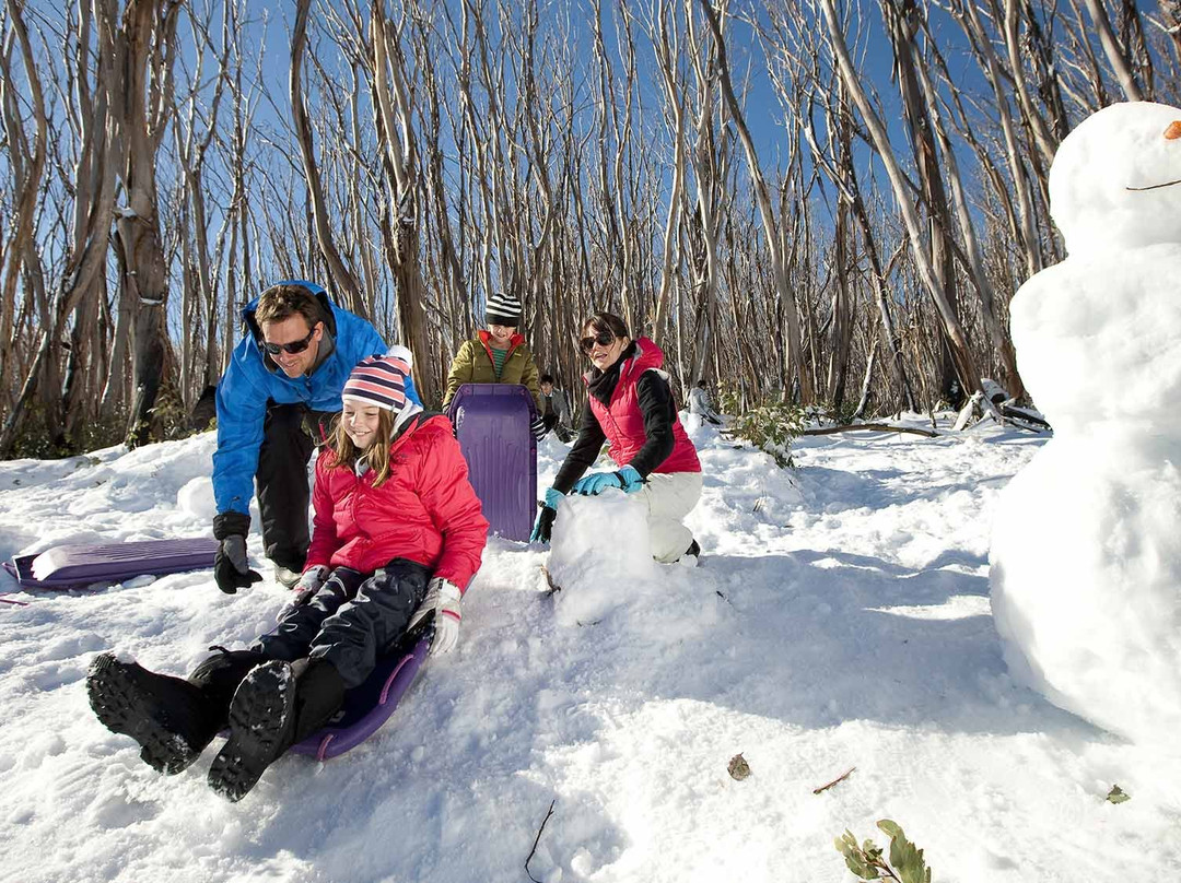Baw Baw National Park-Walhalla必去景点