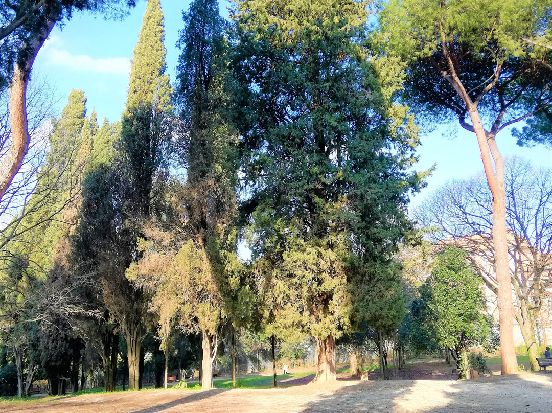 Parco degli Scipioni景点图片