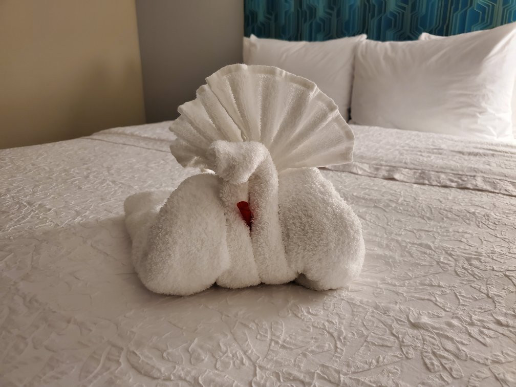 格林斯博罗机场希尔顿恒庭酒店主图