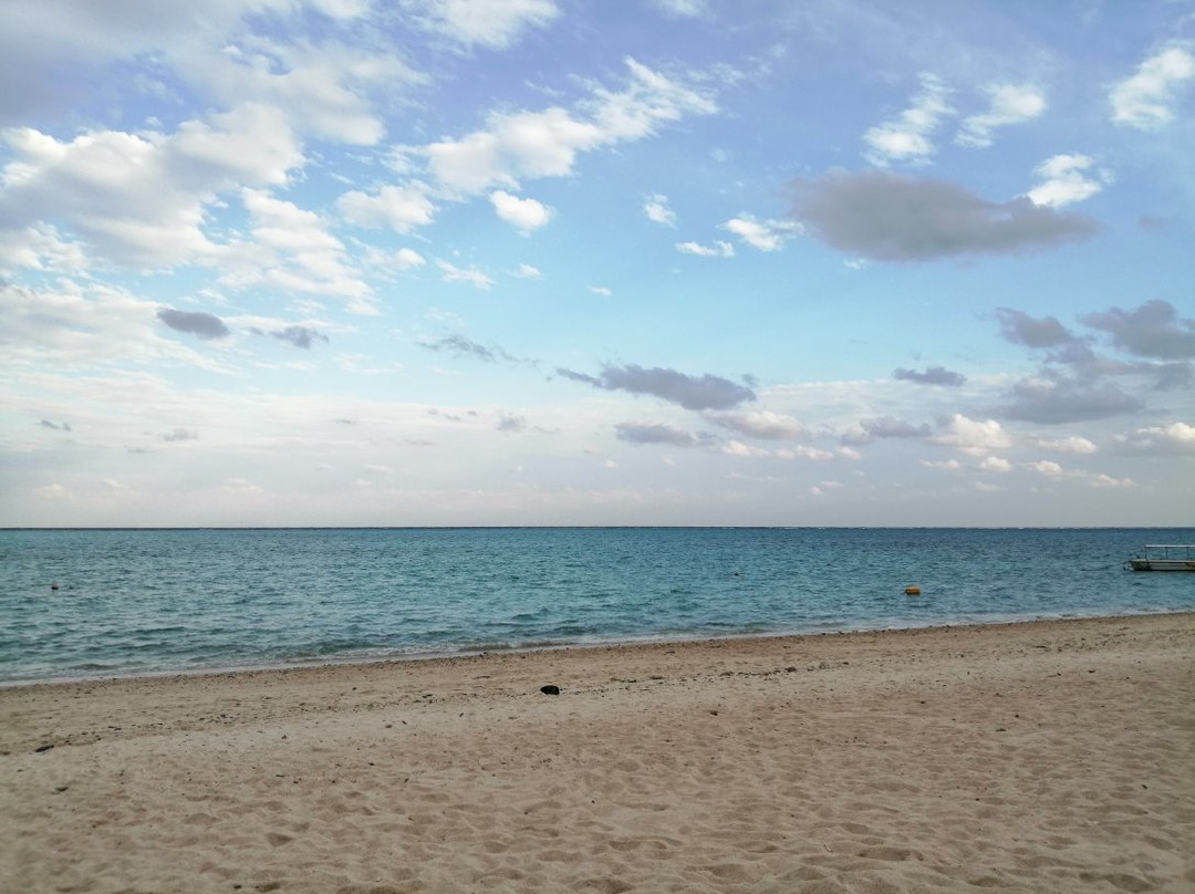 Okaneku Coast景点图片