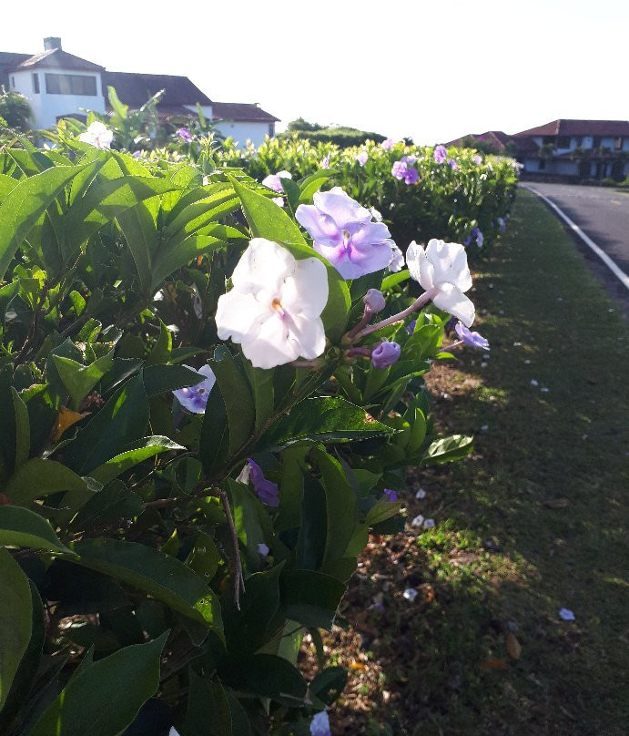 Hacienda Los Molinos Boutique Hotel主图