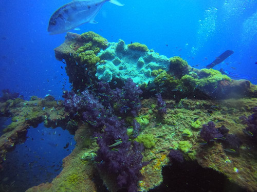 Yongala Dive-Ayr必去景点