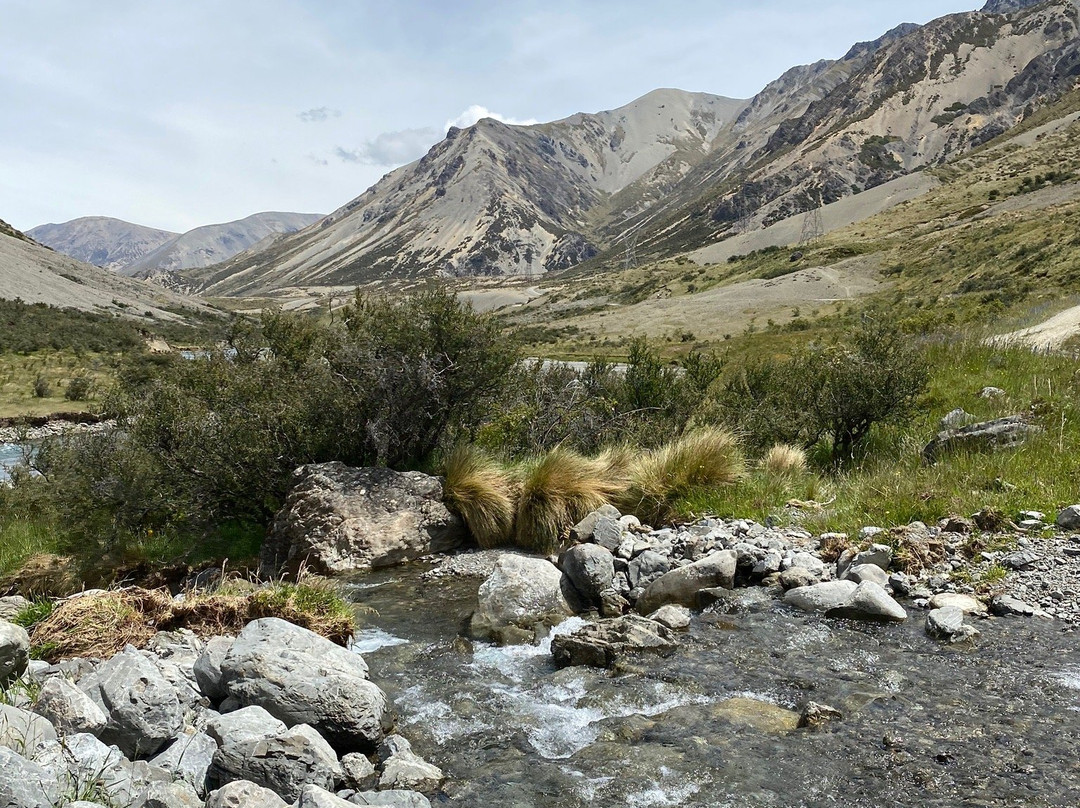 Molesworth Station景点图片