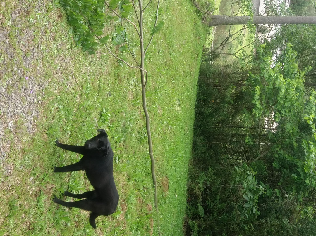 Barragem do Arroio Faxinal-南卡希亚斯必去景点