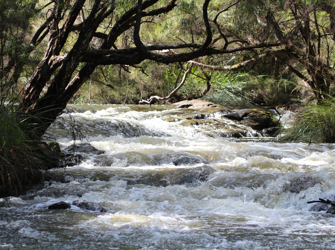 Gloucester National Park-彭伯顿必去景点
