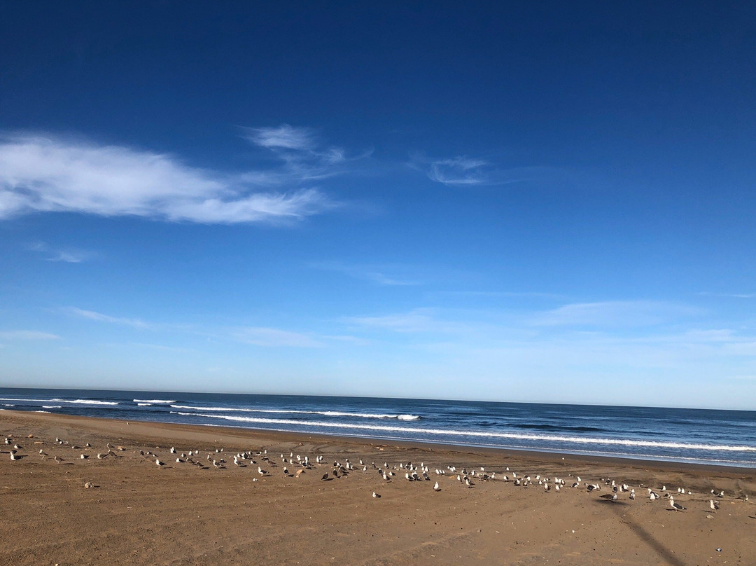 Tan-Tan Plage-Tan-Tan必去景点