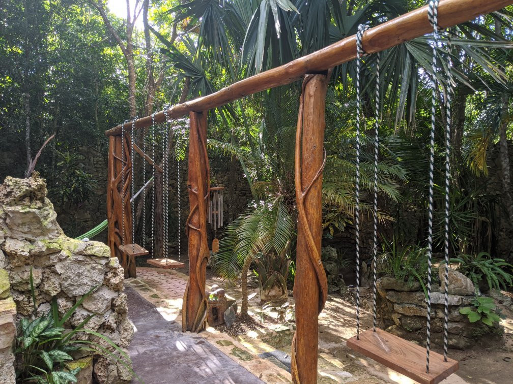 La Selva Mariposa主图