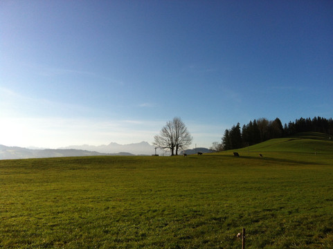 Restaurant zur Höhe
