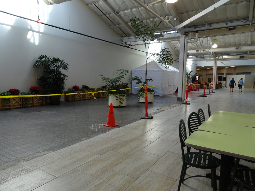 Lahaina Cannery Mall-拉海纳必去景点