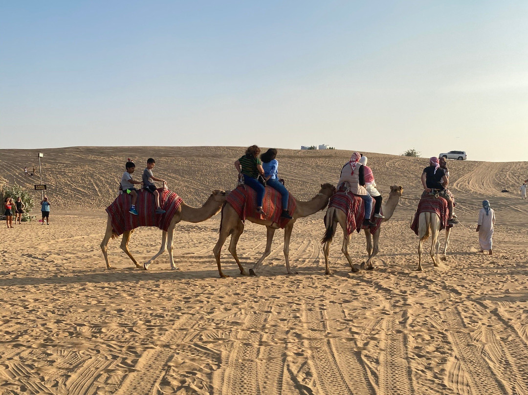 Desert Safari-迪拜必去景点