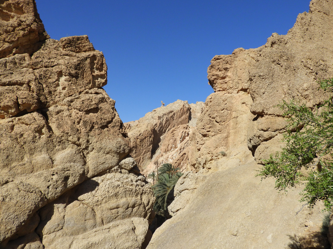 Sidi Bouhlel Canyon景点图片