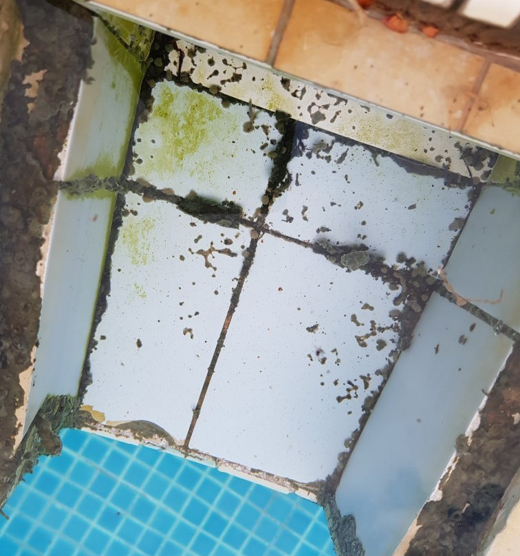 Lubok Antu旅游攻略图片