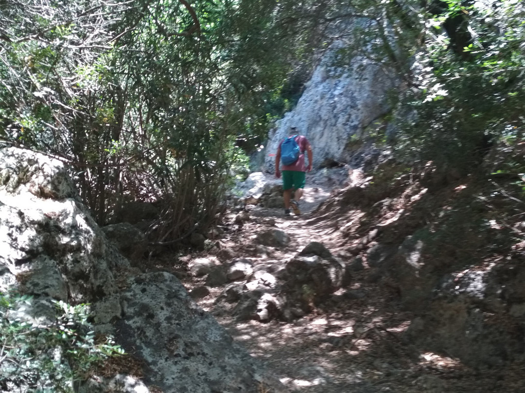 Anydri Gorge-Anidri必去景点