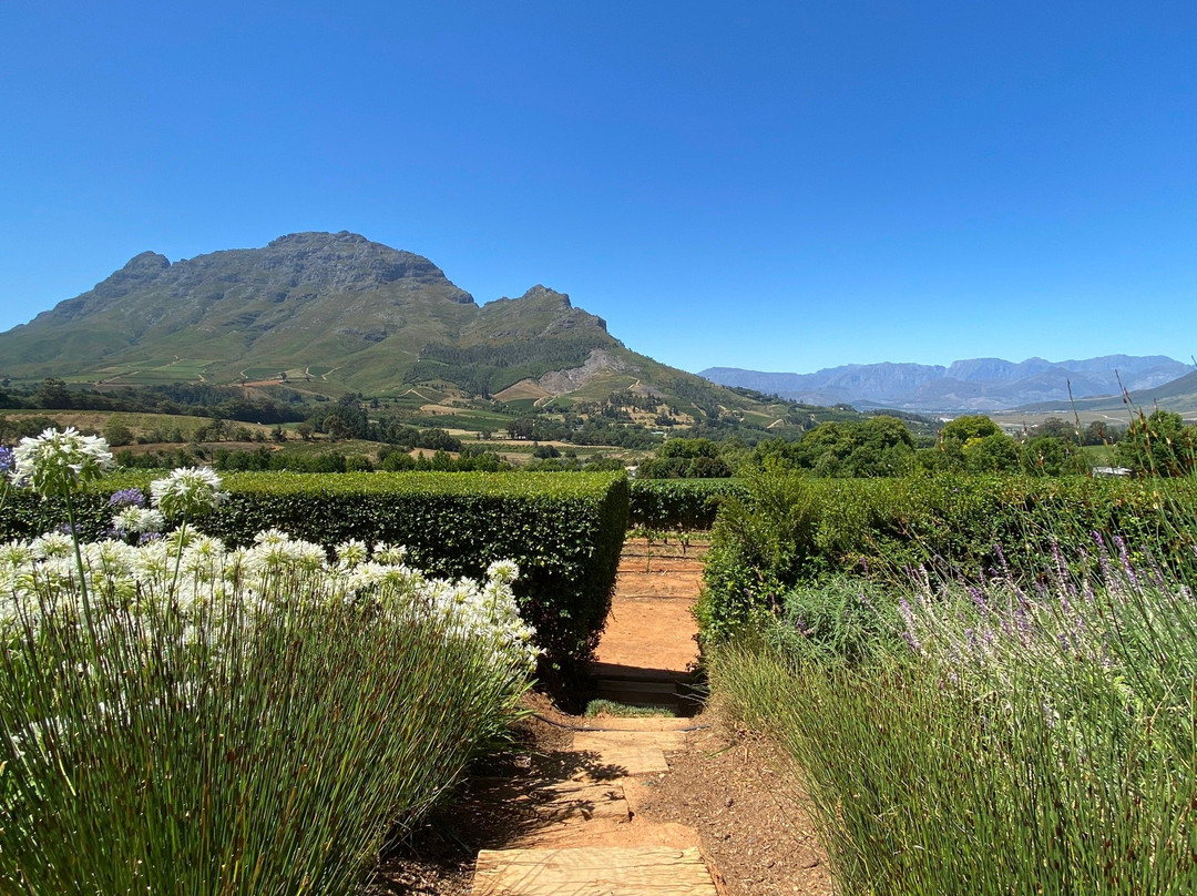 Stellenbosch Vineyards-斯泰伦博斯必去景点