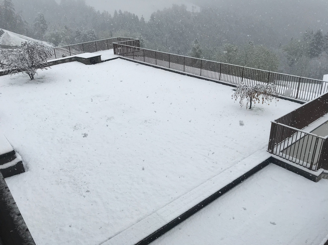 Hotel & Gasthof zum Hirschen主图