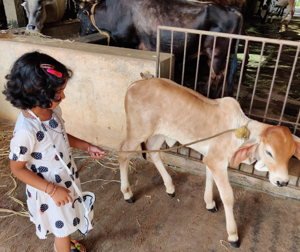 GouSwarga-Siddapur必去景点