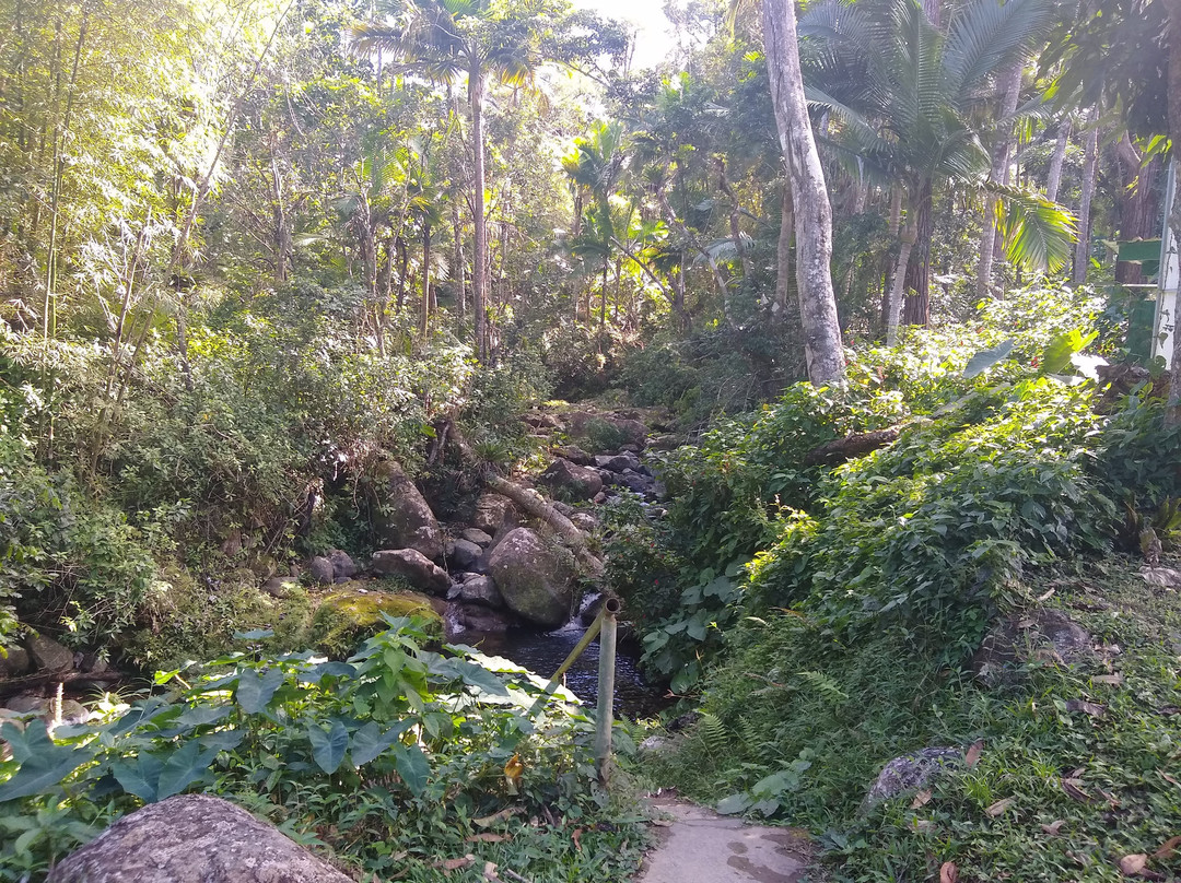 Toro Negro Camping Area