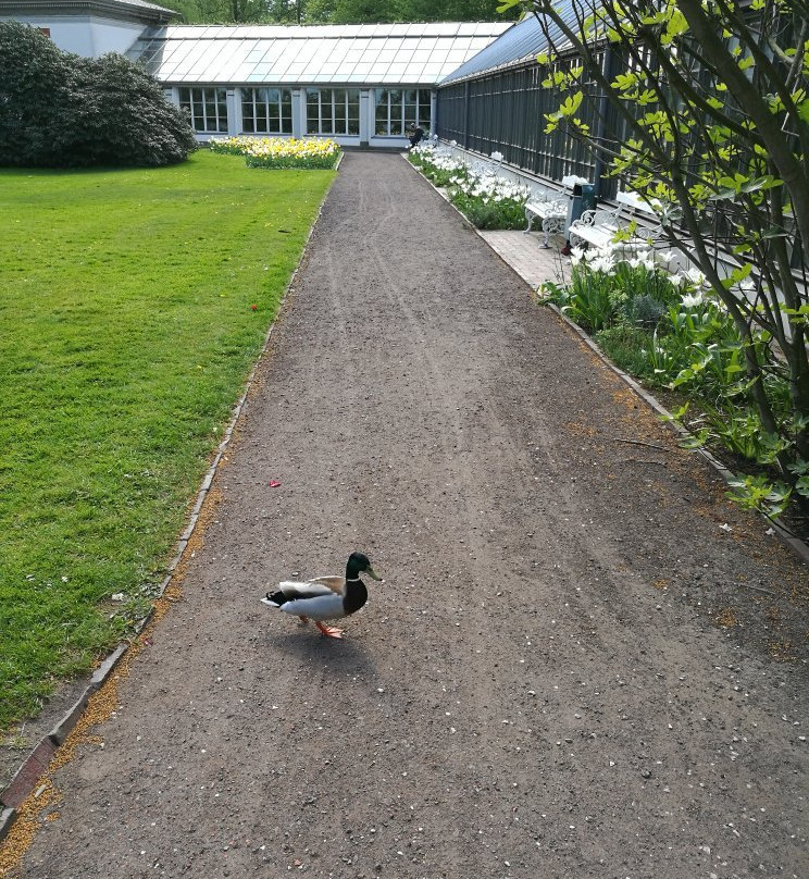 Oldenburger Schlossgarten景点图片