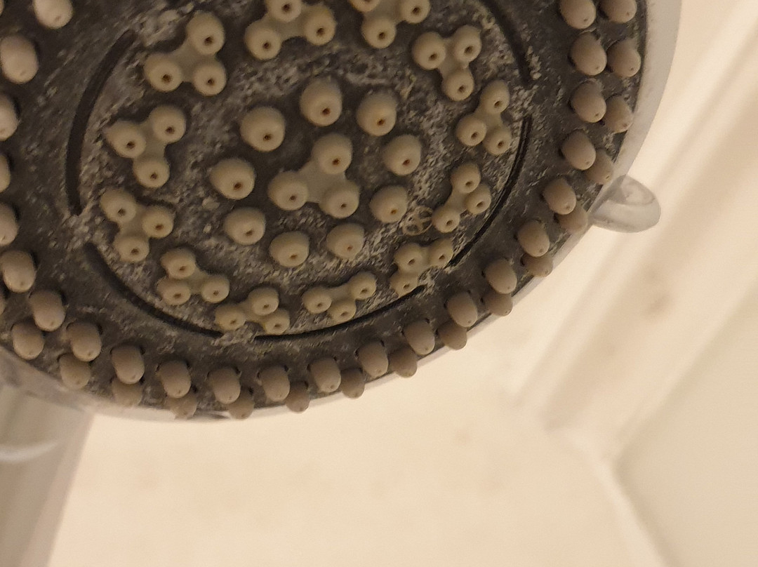 莎士比亚酒店主图