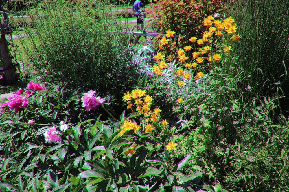 St. Albert Botanic Park-圣艾伯特必去景点