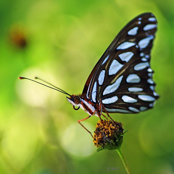 Riverside Nature Center-克尔维尔必去景点