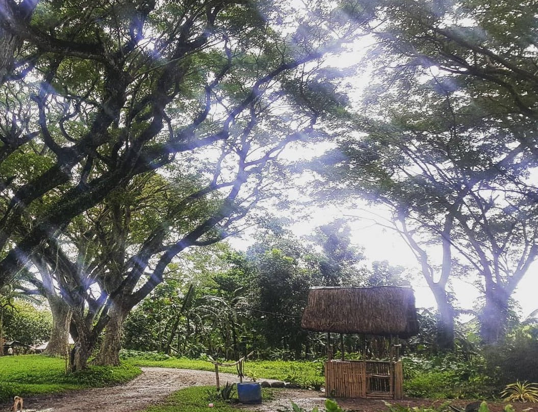 The Chapel of Cartwheels景点图片