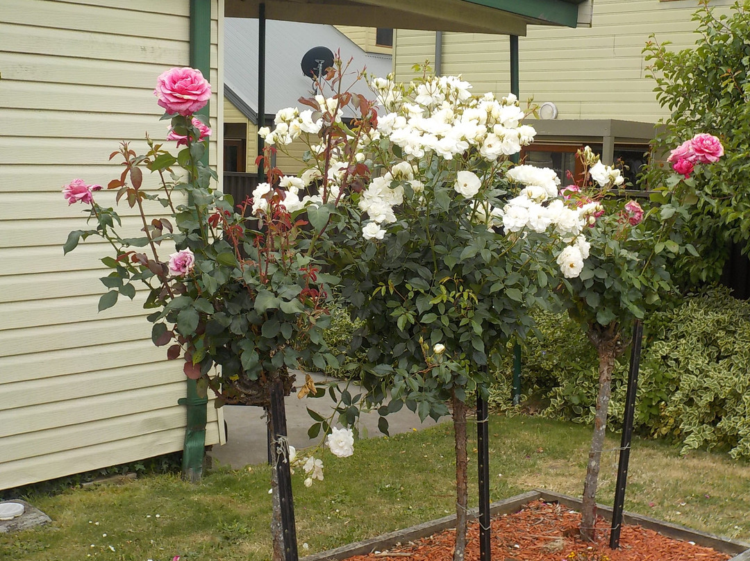 戴尔斯福德中心汽车旅馆主图