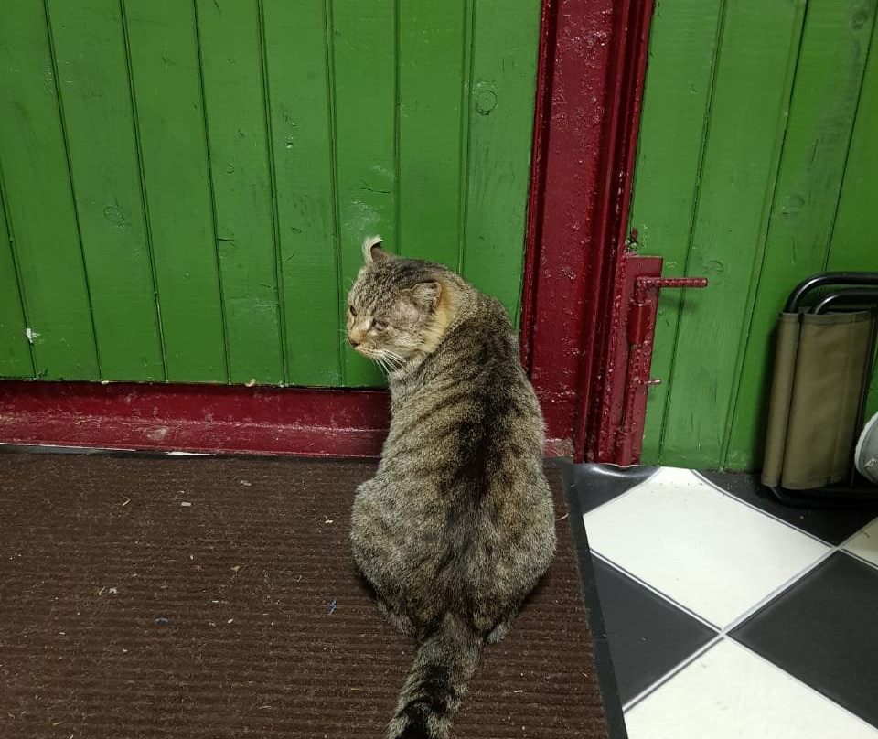 Bogdarnya Agricultural Touristic Complex-Krutovo必去景点