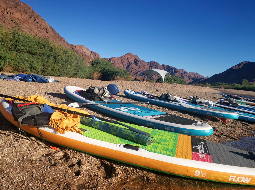 Wildbird Adventures-Vioolsdrift必去景点