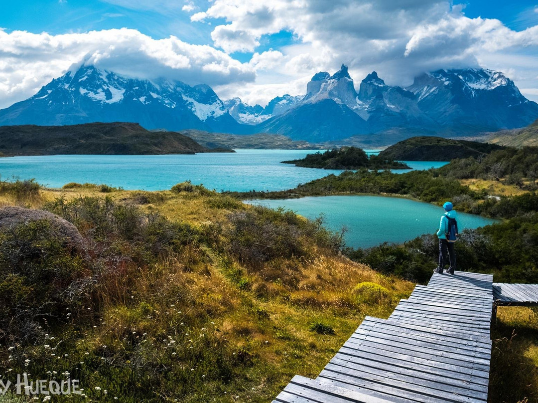 Torres del Paine Tours by Say Hueque景点图片