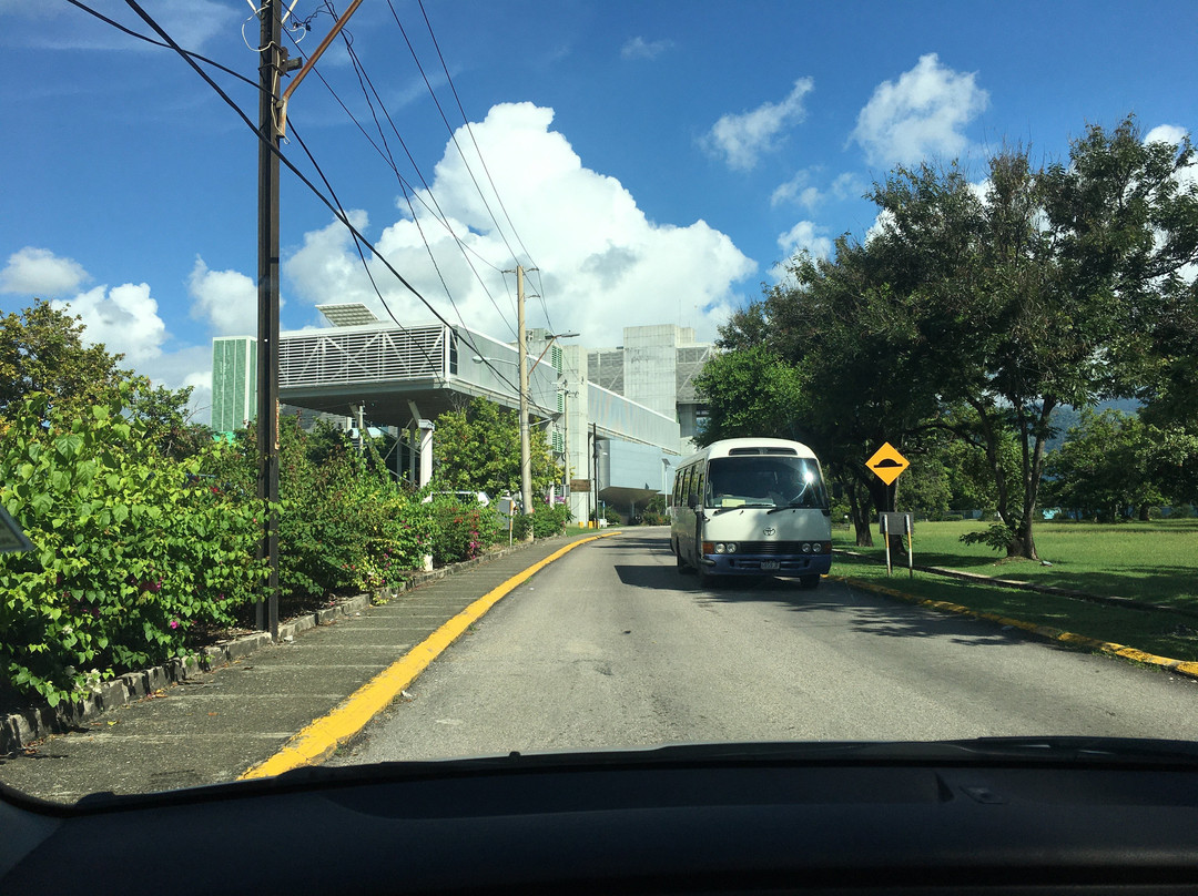 University Of The West Indies - Mona-金斯敦必去景点